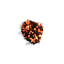 explosion0.png
