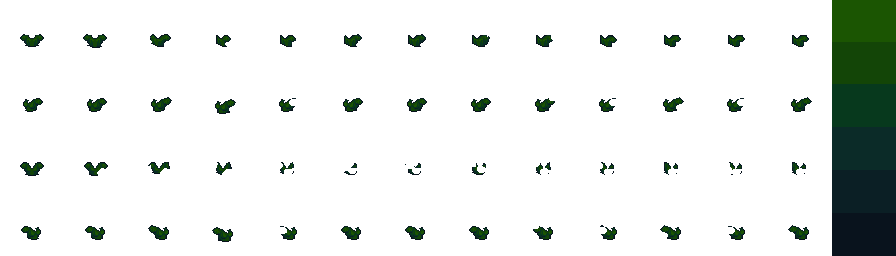 shoot.png