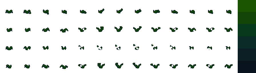 shoot.png