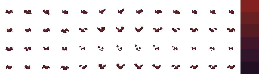 shoot.png