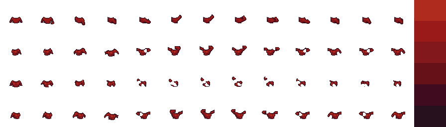shoot.png