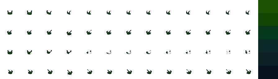 shoot.png