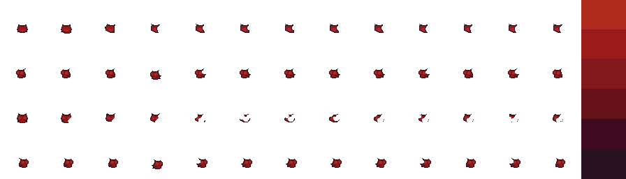 shoot.png