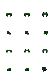 forest.png