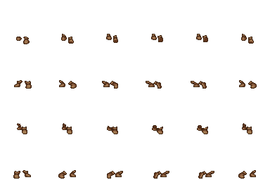 walnut.png