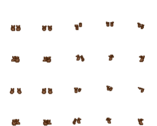 brown.png