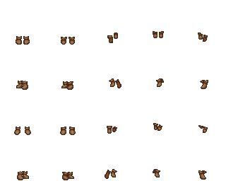 walnut.png