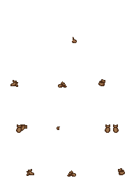 walnut.png