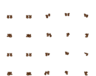brown.png
