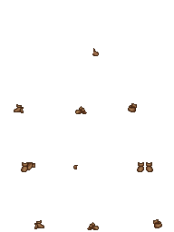 walnut.png