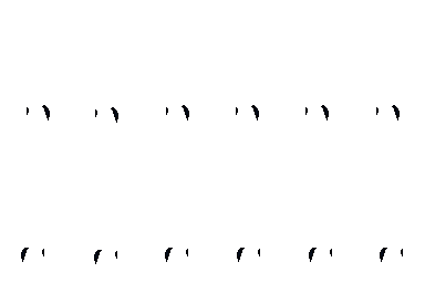 raven.png