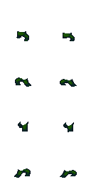 forest.png
