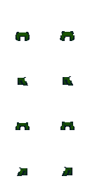 forest.png