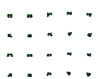 forest.png