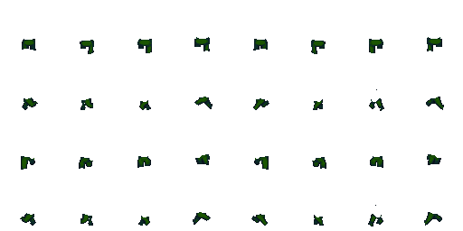 forest.png