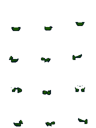 forest.png