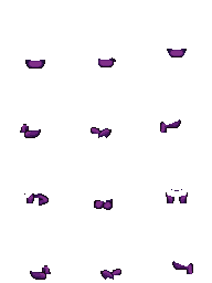 purple.png