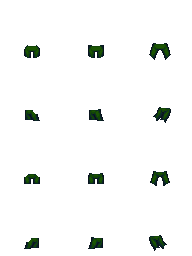 forest.png