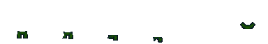 forest.png