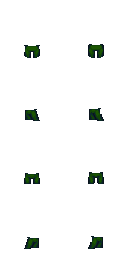 forest.png
