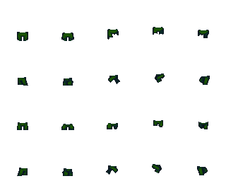 forest.png