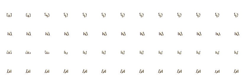 shoot.png