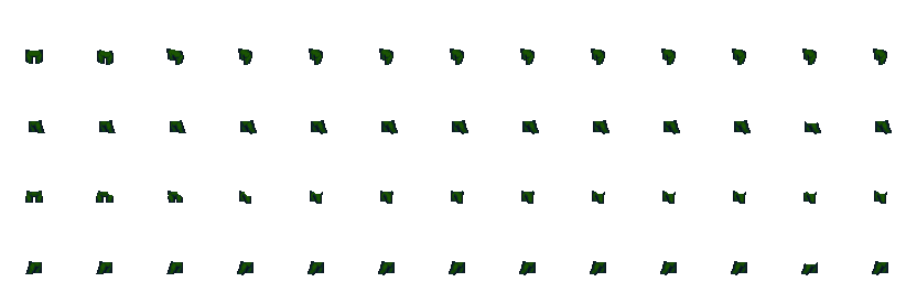 forest.png