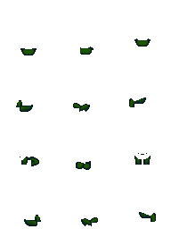 forest.png