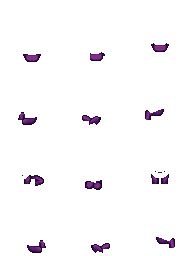 purple.png