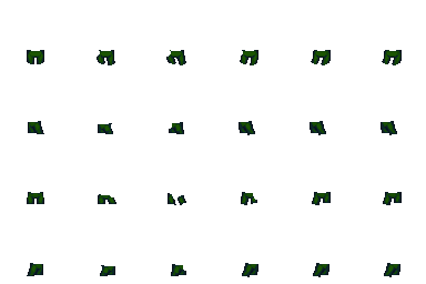 forest.png