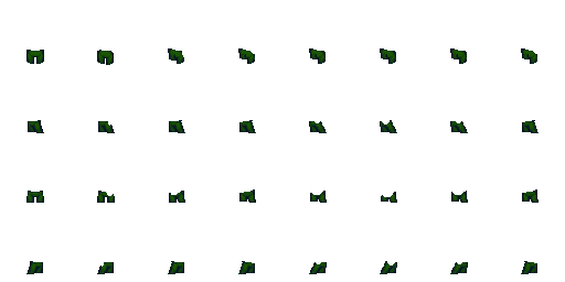 forest.png