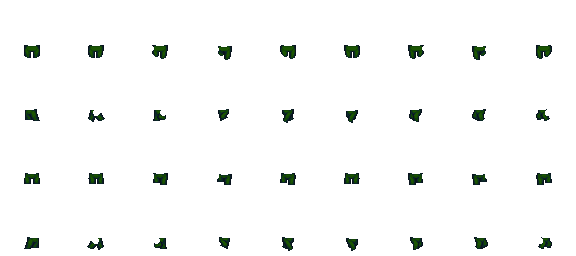 forest.png